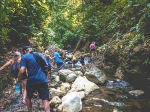 Costa rica - jungle