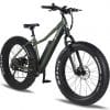 Electric Fatbike Rental - Morin-Heights - Image 19