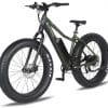 Electric Fatbike Rental - Morin-Heights - Image 20