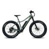 Electric Fatbike Rental - Morin-Heights