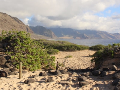 hawaii paysage