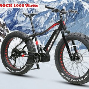 Fat bike