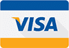 Visa icon