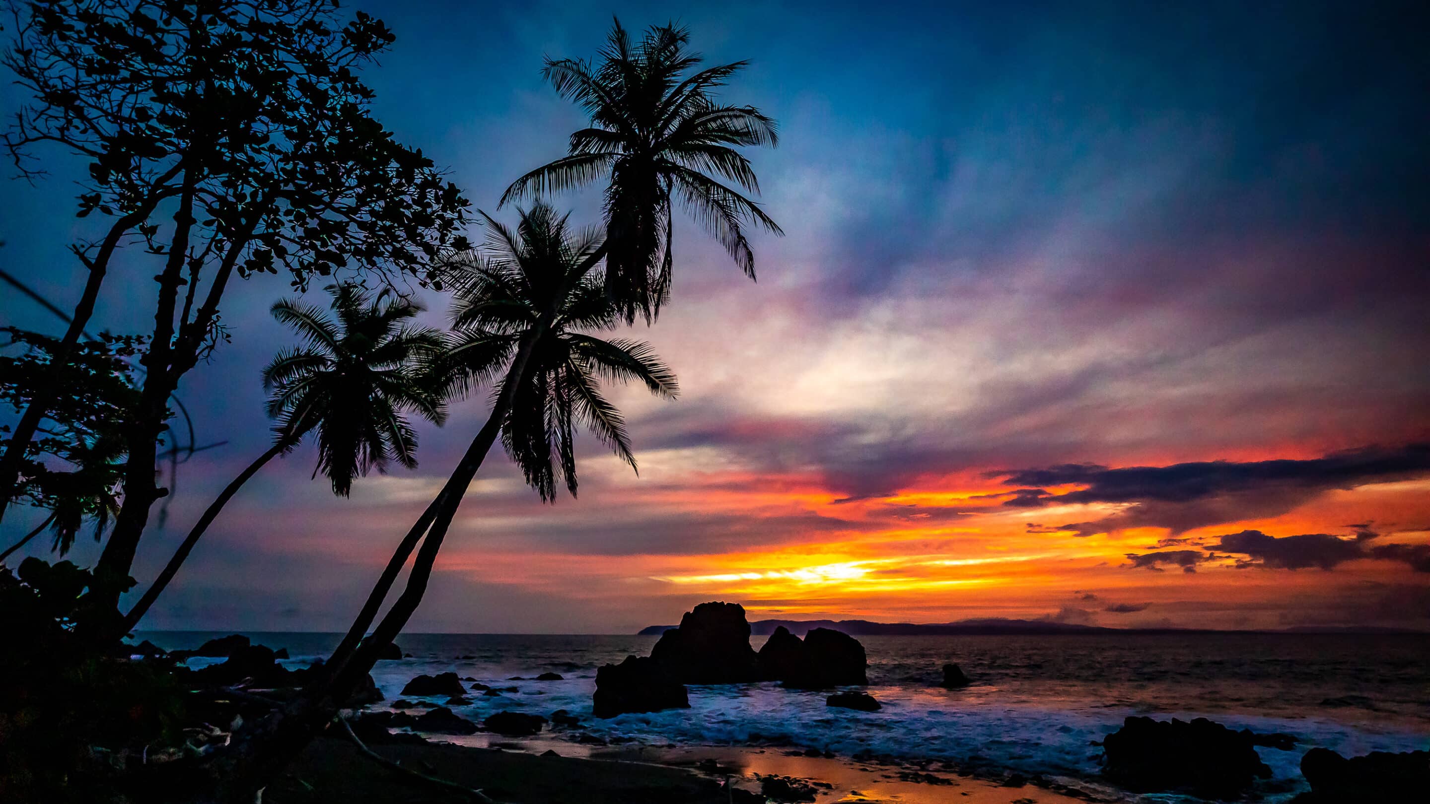 Costa rica - jungle