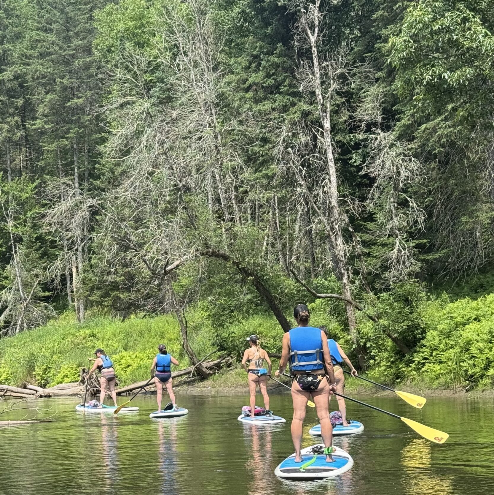 Paddle board
