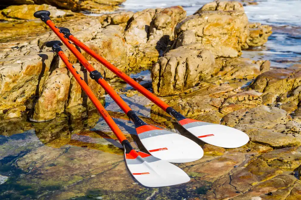 EASY PADDLE ADJUSTABLE Y25 – Image 2