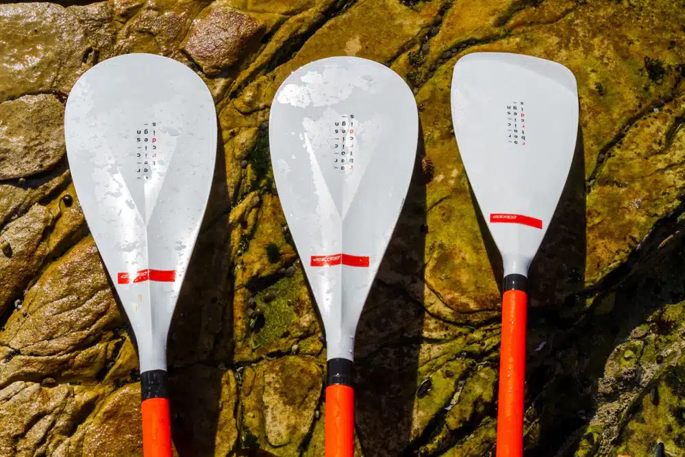 EASY PADDLE ADJUSTABLE Y25 – Image 4